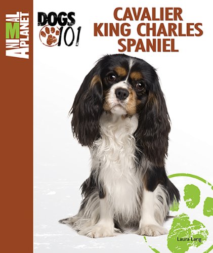 Stock image for Cavalier King Charles Spaniel (Animal Planet Dogs 101) for sale by SecondSale