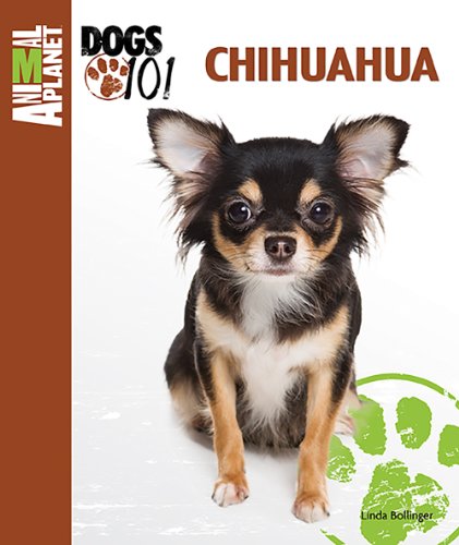 Stock image for Chihuahua (Animal Planet Dogs 101) for sale by Jenson Books Inc