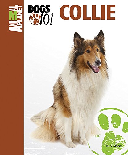 Stock image for Collie Animal Planet : Dogs 101 for sale by Better World Books