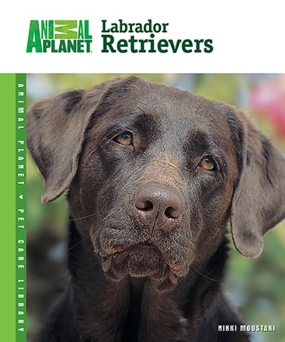 Imagen de archivo de Labrador Retrievers (Animal Planet Pet Care Library) a la venta por Your Online Bookstore