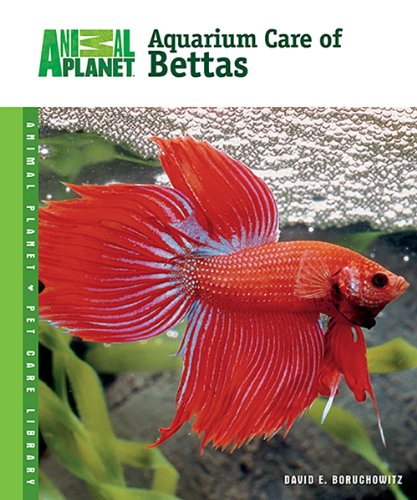 9780793837632: Aquarium Care of Bettas