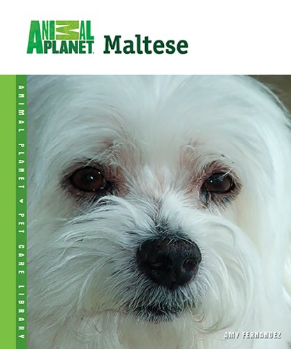 Beispielbild fr Maltese (Animal Planet� Pet Care Library) zum Verkauf von Wonder Book