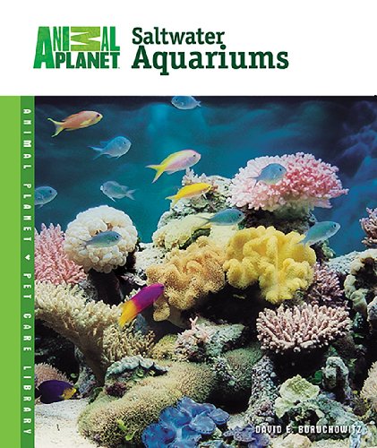 Beispielbild fr Setup and Care of Saltwater Aquariums zum Verkauf von Better World Books