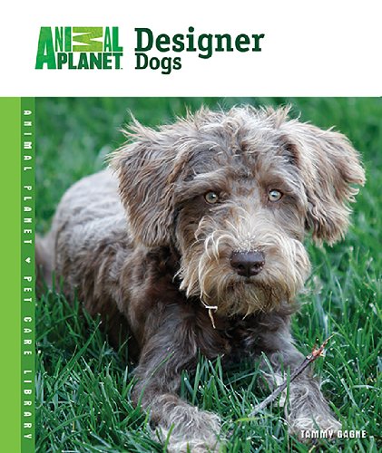 Stock image for Designer Dogs for sale by Better World Books