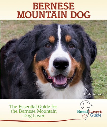 Stock image for Bernese Mountain Dog: A Practical Guide for the Bernese Mountain Dog Lover (Breed Lover's Guide) for sale by Dream Books Co.