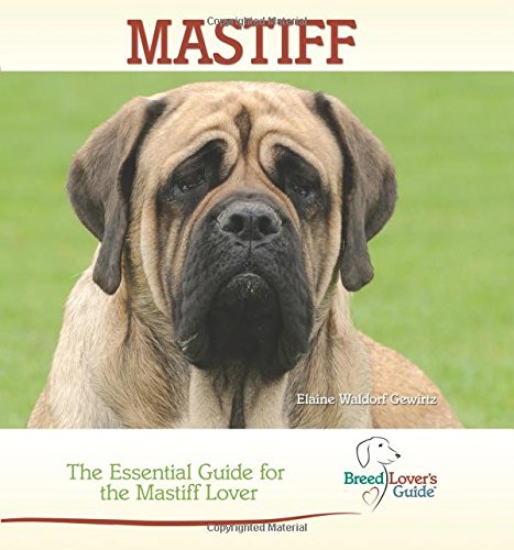 Imagen de archivo de Mastiff a la venta por Better World Books