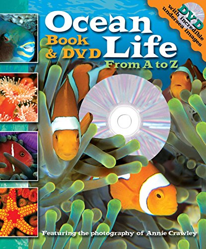 Stock image for Ocean Life From A to Z Book and DVD (Readers Book & DVD) for sale by SecondSale