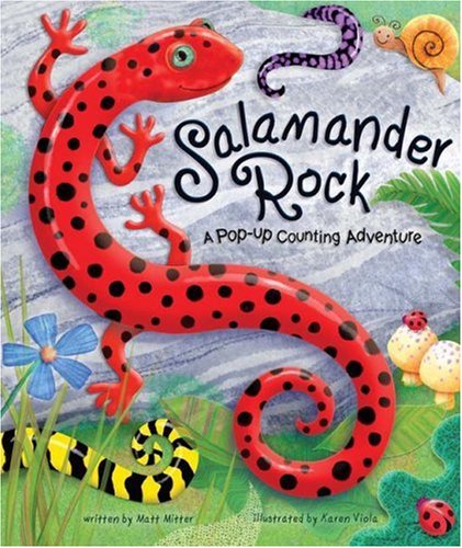 Imagen de archivo de Salamander Rock: A Pop Up Counting Book a la venta por Larry W Price Books