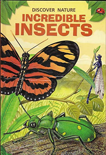 Beispielbild fr Incredible Insects zum Verkauf von Wonder Book