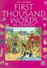 Imagen de archivo de The Usborne First Thousand Words in Hebrew: With Easy Pronunciation Guide (Hebrew Edition) a la venta por Orion Tech