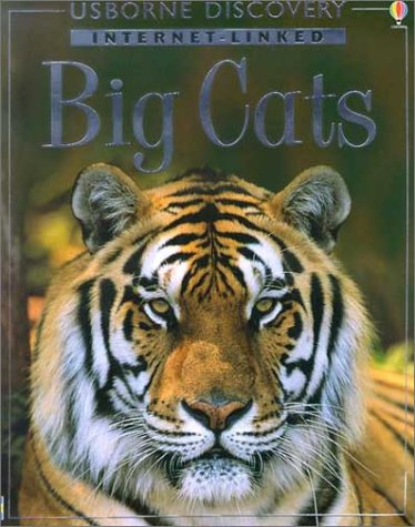 9780794501433: Big Cats (Discovery Program)