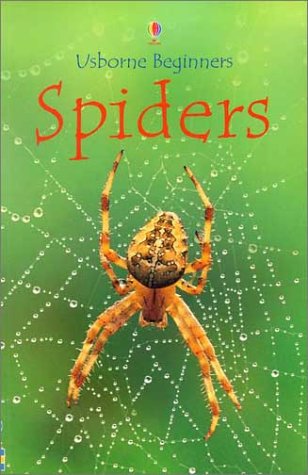 Beispielbild fr Spiders (Usborne Beginners) zum Verkauf von Wonder Book