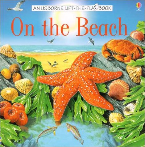 9780794502133: On the Beach (Usborne Lift-the-Flap Book)