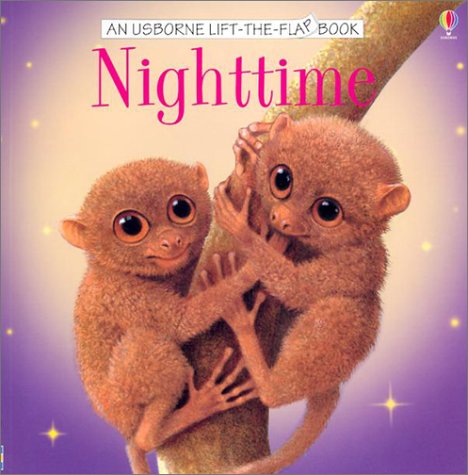 Imagen de archivo de Nighttime (Usborne Life-The-Flap Book) a la venta por Ergodebooks