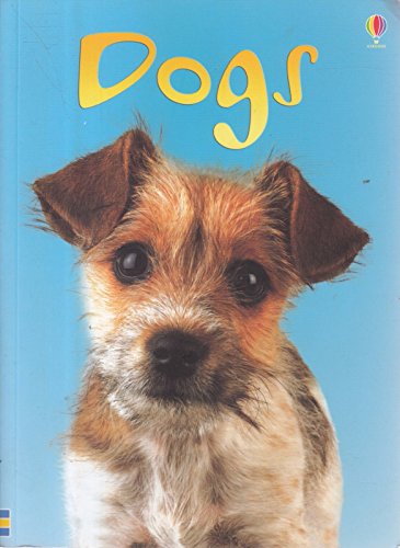 Imagen de archivo de Dogs (Beginners) a la venta por Your Online Bookstore