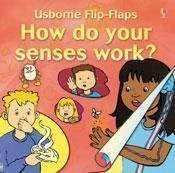 Imagen de archivo de How Do Your Senses Work a la venta por ThriftBooks-Dallas