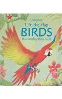 Imagen de archivo de Birds (Luxury Lift The Flap Learners) a la venta por HPB-Ruby