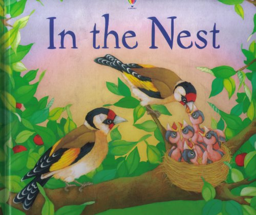 Beispielbild fr In The Nest (First Discovery) zum Verkauf von Wonder Book