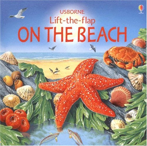 Stock image for On the Beach (Usborne Lift-The-Flap) for sale by Books of the Smoky Mountains