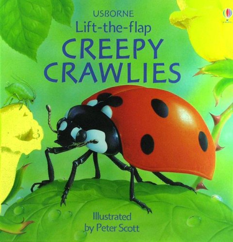 9780794507633: Creepy Crawlies Lift-The-Flap (Usborne Lift-The-Flap)