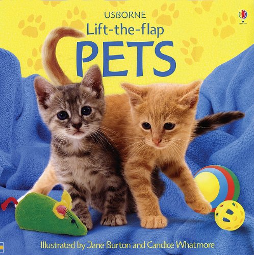 9780794509149: Pets (Usborne Lift-The-Flap)