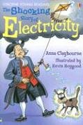 Stock image for The Shocking Story of Electricity: Internet Referenced (Young Reading) for sale by SecondSale