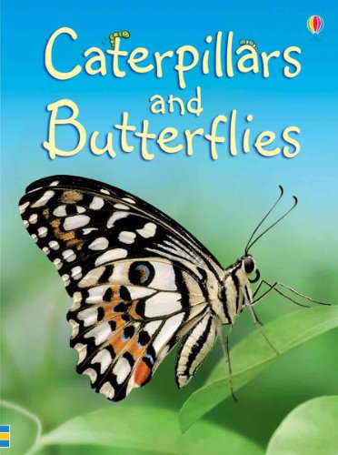 Beispielbild fr Caterpillars and Butterflies (Beginners Nature, Level 1) zum Verkauf von Wonder Book