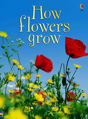 9780794513405: How Flowers Grow (Usborne Beginners, Level 1)