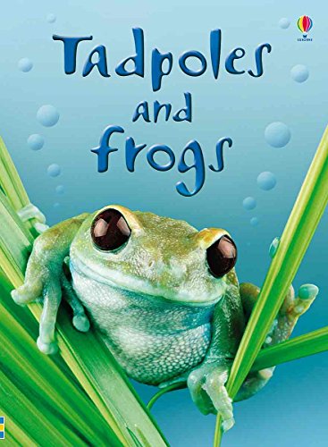 Beispielbild fr Tadpoles and Frogs (Beginners Nature, Level 1) zum Verkauf von Your Online Bookstore