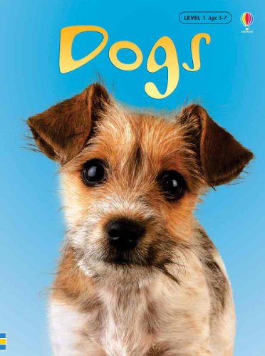 Stock image for Dogs (Usborne Beginners: Information For Young Readers: Level 1) for sale by Gulf Coast Books