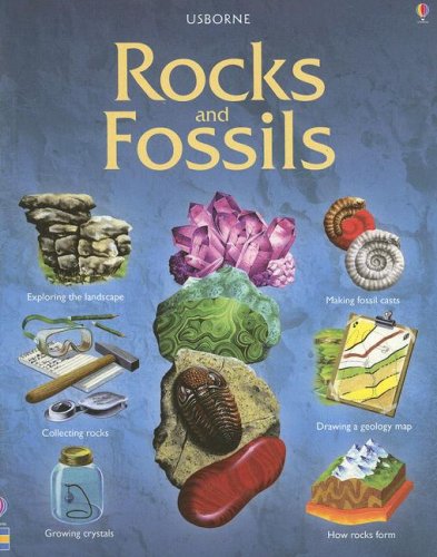 Stock image for Rocks & Fossils (Hobby Guides) for sale by HPB-Ruby