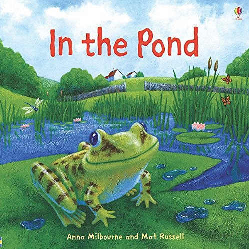 In the Pond (Picture Books) (9780794515447) by Milbourne, Anna