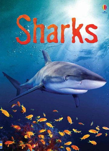 Stock image for Sharks (Usborne Beginners) for sale by SecondSale