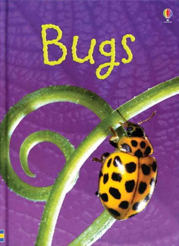 Beispielbild fr Bugs (Usborne Beginners) zum Verkauf von Reliant Bookstore