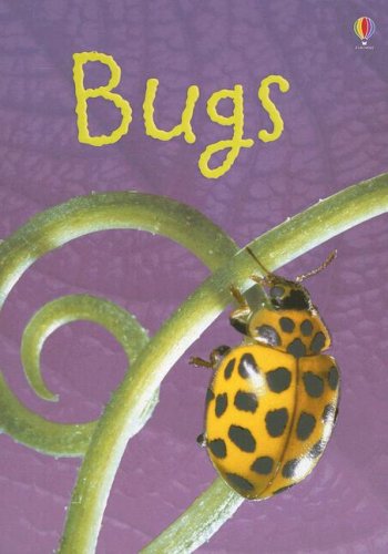 Stock image for Bugs: Level 1 (Usborne Beginners) for sale by AwesomeBooks