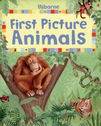 Imagen de archivo de First Picture Animals (First Picture Board Books) a la venta por Wonder Book