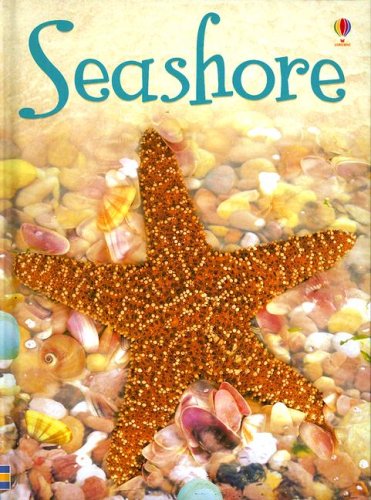 9780794520618: Seashore (Usborne Beginners)