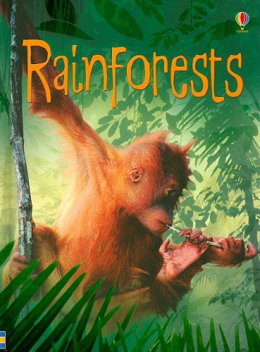 Stock image for Rainforests (Usborne Beginners Level 1: Nature) for sale by Ergodebooks