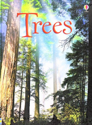 9780794521561: Trees (Usborne Beginners)