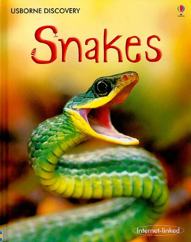 Imagen de archivo de Snakes: Internet-linked (Discovery Nature) a la venta por Half Price Books Inc.