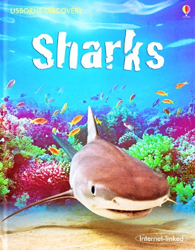 Imagen de archivo de Sharks a la venta por Better World Books