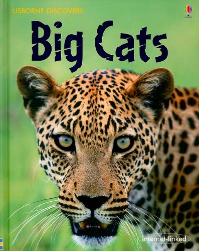 Beispielbild fr Big Cats zum Verkauf von ThriftBooks-Atlanta