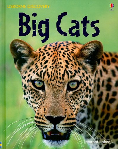 9780794522438: Big Cats (Usborne Discovery)