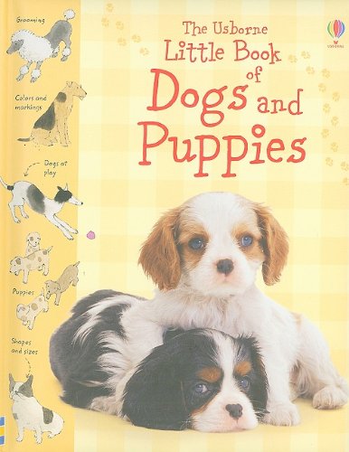 9780794523008: The Usborne Little Book of Dogs and Puppies