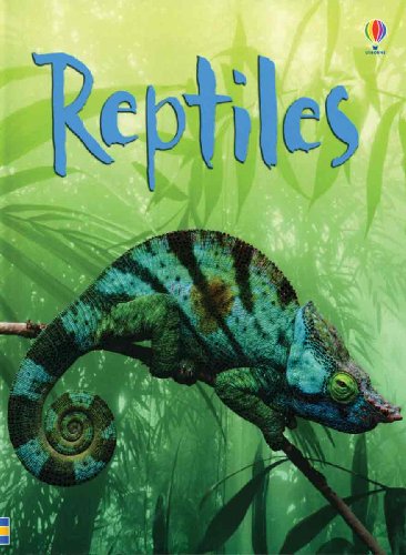 Imagen de archivo de Reptiles (Usborne Beginners: Level 2) a la venta por SecondSale