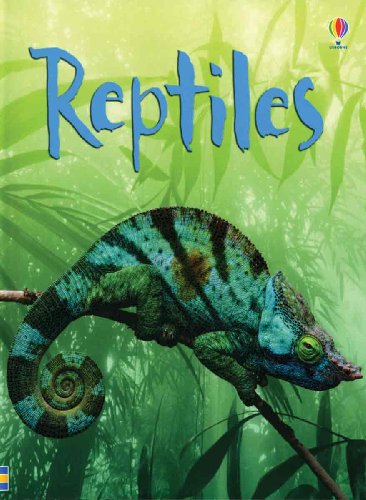 Stock image for Reptiles (Usborne Beginners: Level 2) for sale by Half Price Books Inc.