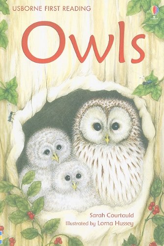 Beispielbild fr Owls : Internet-Referenced zum Verkauf von Better World Books