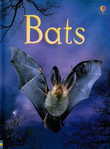 9780794525415: Bats (Beginner's Nature)