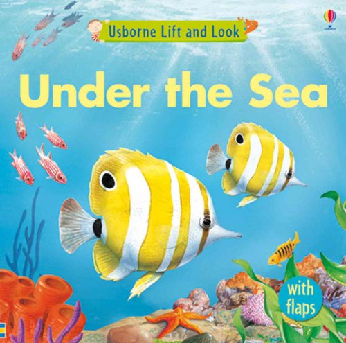 Stock image for Under the Sea (Usborne Lift and Look Board Books) for sale by SecondSale