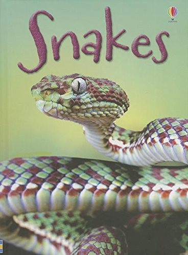 Stock image for Snakes (Usborne Beginners) for sale by SecondSale